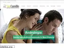 Sites similar to centrosancamillo.it