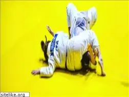 Sites similar to centroscuolejudo.it