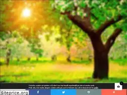 Sites similar to centrulnatura.ro