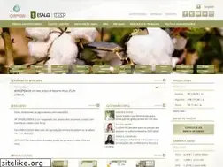 Sites similar to cepea.org.br