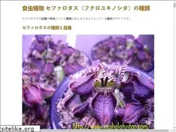 Sites similar to cephalotusfan.com