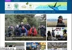 Sites similar to cequa.cl