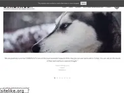 Sites similar to cerberusip.com