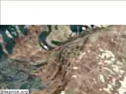 Sites similar to cerbulalbastru.ro