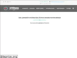 Sites similar to cerkezkoyaygunes.com.tr