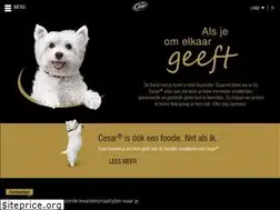 Sites similar to cesar.be