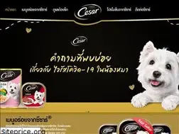Sites similar to cesar.co.th