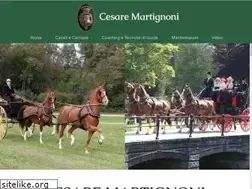 Sites similar to cesaremartignoni.it