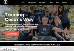 Sites similar to cesarsway.com