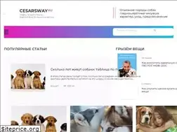 Sites similar to cesarsway.ru