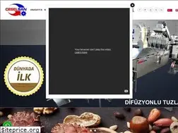 Sites similar to ceselsan.com