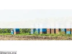 Sites similar to ceskejmed.cz