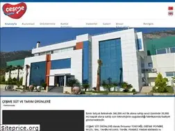 Sites similar to cesmesut.com.tr