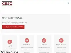 Sites similar to ceso.cl