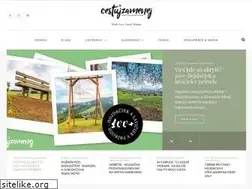 Sites similar to cestujzamenej.sk