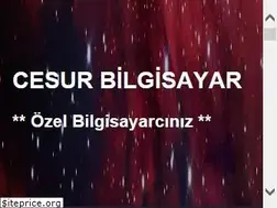 Sites similar to cesurbilgisayar.com