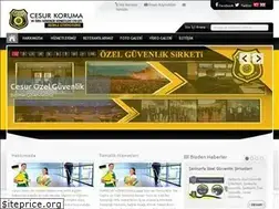 Sites similar to cesurguvenlik.com