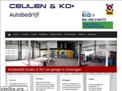 Sites similar to ceulenenko.nl