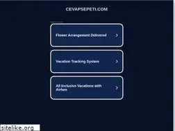 Sites similar to cevapsepeti.com