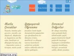 Sites similar to cevizadam.com