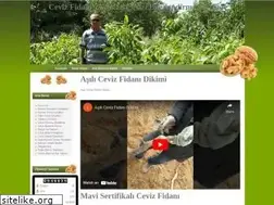 Sites similar to cevizfidani.net