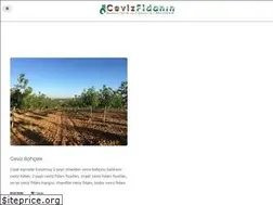 Sites similar to cevizfidanin.com