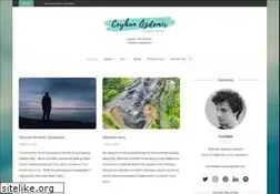 Sites similar to ceyhunozdemir.com