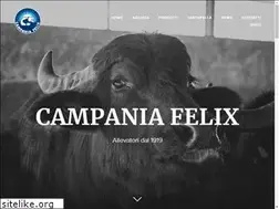 Sites similar to cfelix.it