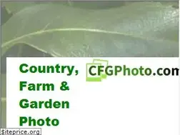 Sites similar to cfgphoto.com