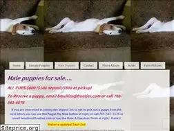 Sites similar to cfjacks.com