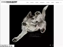 Sites similar to chaddahlquist.com