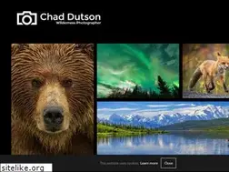 Sites similar to chaddutson.com