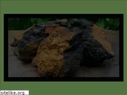 Sites similar to chagagrove.com