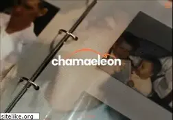 Sites similar to chamaeleon-dv.de
