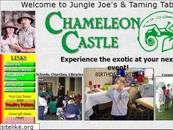 Sites similar to chameleoncastle.com