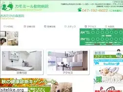 Sites similar to chamomile-ah.com
