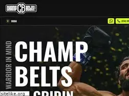 Sites similar to champ-belts.com