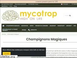 Sites similar to champimagik.net
