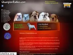 Sites similar to championbullies.com