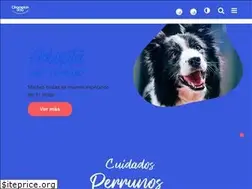 Sites similar to championdog.cl