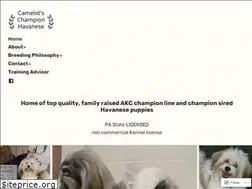 Sites similar to championhavanese.com