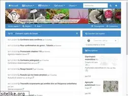 Sites similar to champis.net