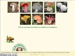 Sites similar to champyves.pagesperso-orange.fr