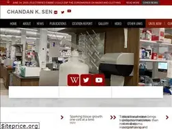 Sites similar to chandansen.org