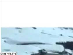 Sites similar to chandigarhmanalitaxi.in
