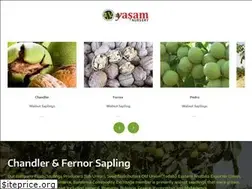 Sites similar to chandlerfernor.com