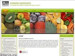 Sites similar to chandraassociates.com