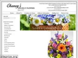 Sites similar to chaneysflorist.com