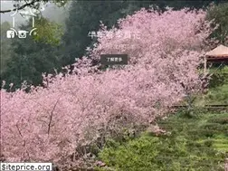 Sites similar to chanshuo.com.tw