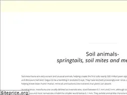 Sites similar to chaosofdelight.org